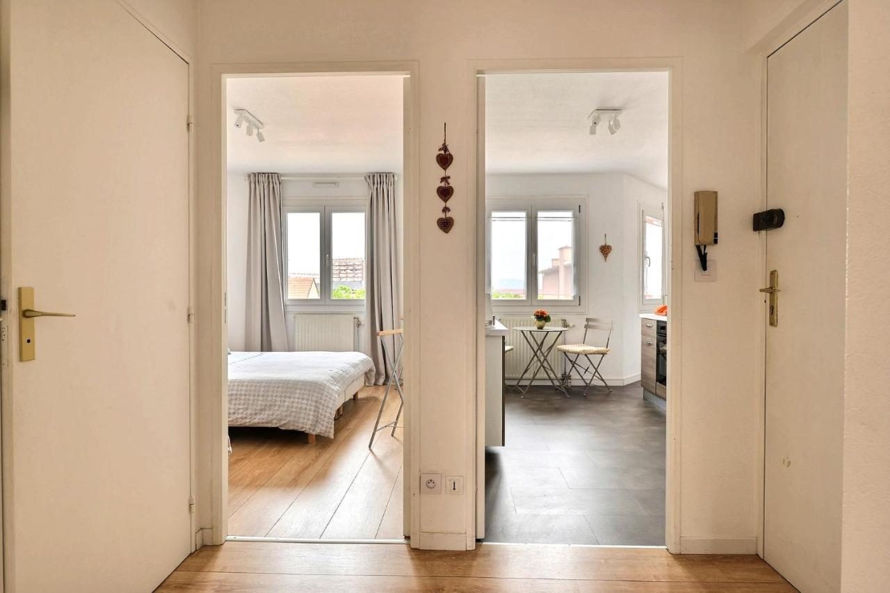 Le Petit Nid De Max Et Sophie 1Free Garage Apartment Колмар Екстериор снимка